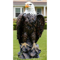 24.4 inch Large Realistic Bald Eagle Statue Outdoor Garden Decor Hand-Painted Resin Yard Art Patio Decoration Majestic Sculptur