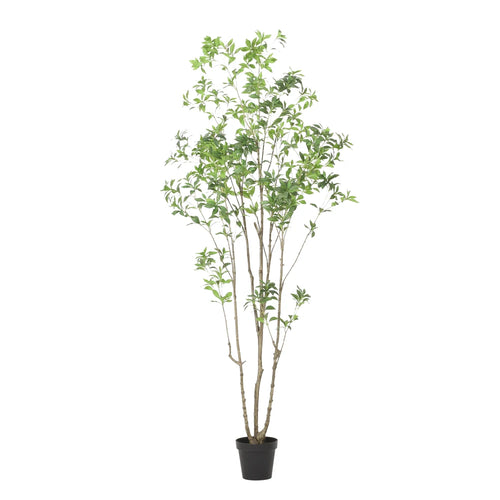 240CM Artificial Pieris Tree Realistic Fake Pieris Plant for Indoor Outdoor Home Garden Entryway Decoration