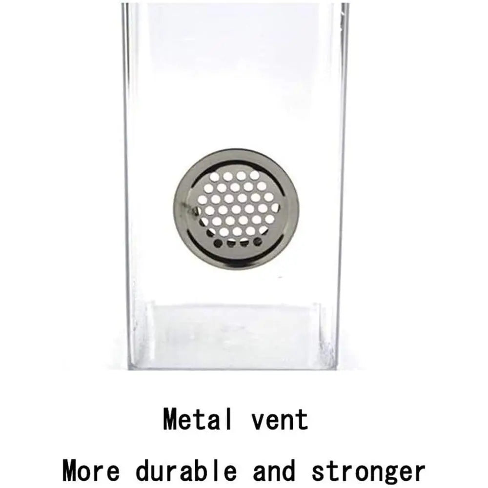 Acrylic Reptile and Amphibian Habitat with Metal Ventilation for Breeding and Living, Colorful Transparent Enclosure