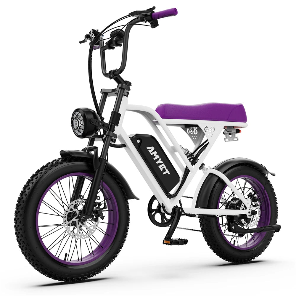 AMYET V9-G60 Adults Electric Bike 1000W Motor Bicycle 48V 20AH 20 Inch Tire Ebike Electric E Bikes Mountain Moped Ebikes For Men