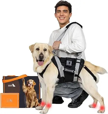 Full Body Support Dog Sling Harness for Large Dogs, Stair Climbing Aid, Back Legs and Joint Injury Assistance
