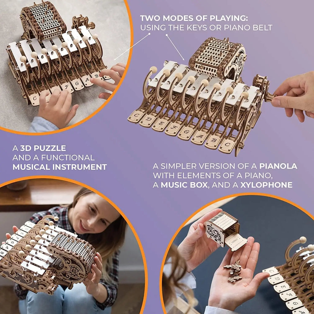 3D Wooden Mechanical Puzzle for Adults and Kids - Musical Instrument Model Kit, Brain Teaser Hobby Set