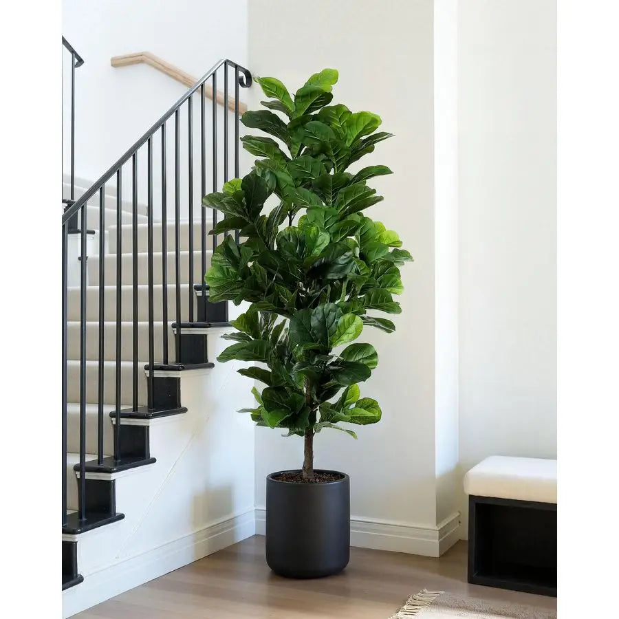 Leaf Fig Tree 6ft Tall Artificial Tree in Plastic Pot Fake Ficus Lyrata Plants with 184 Decorative Fiddle Leaves Faux Fig Trees