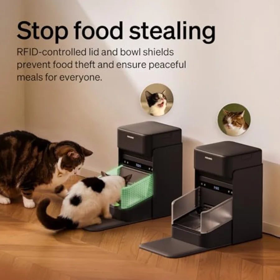 Wi-Fi Programmable RFID Cat Feeder with Collar Sensor for Personalized Meals 6-Pack Pet Food Desiccant Bag Automatic Food Dispe