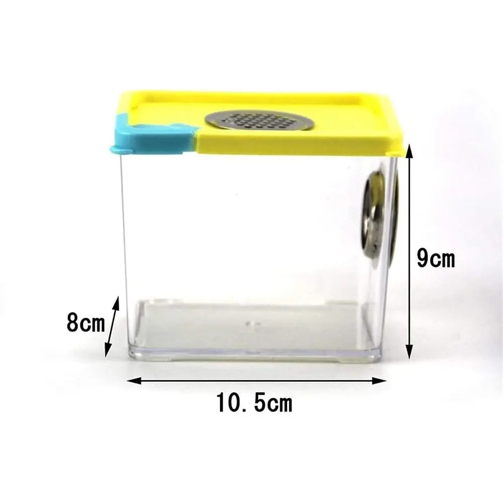 Acrylic Reptile and Amphibian Habitat with Metal Ventilation for Breeding and Living, Colorful Transparent Enclosure