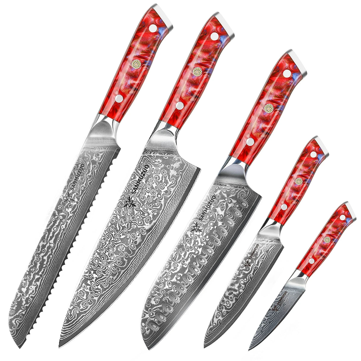 5PCS Kitchen Knife Set - Sharp Damascus Steel Knives with Resin Handle, Chef/Santoku/Bread/Paring/Utility Knife for Home Kitchen