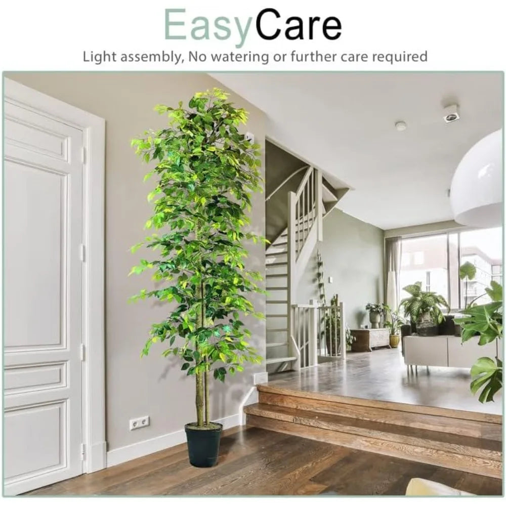 10ft Ficus Tree in Black Plastic Pot - Real Wood Trunk, No Maintenance Indoor Plant - Living Room, Home & Office Decor