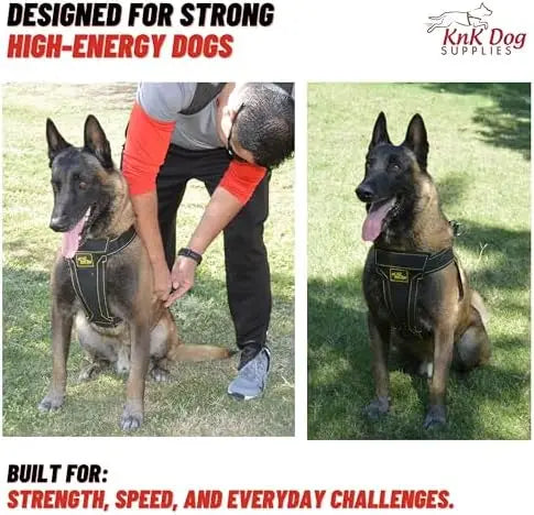 Knock Out Dog Harness for Pitbulls – Strong, Comfortable, Durable Design  
SEO-optimized title: Heavy Duty Dog Harness for Pitbu