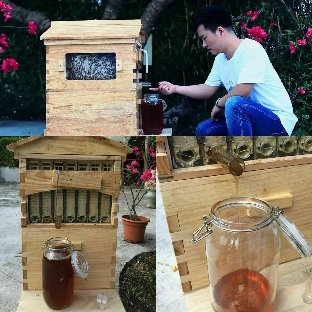 7PCS Auto Shed Honey Hive Beehive Frames + Unique Beehive House Fir Wooden Boxes