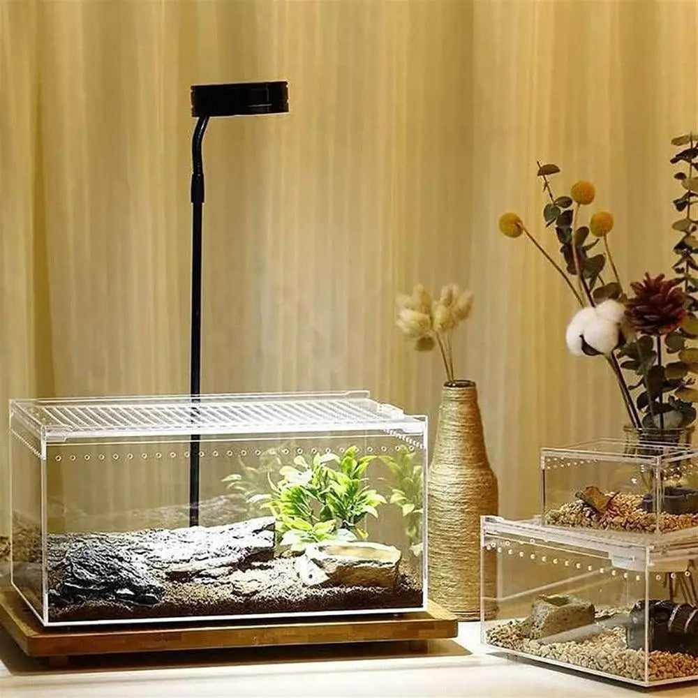 Clear Glass Reptile Habitat, 20x15x10cm for Snakes, Turtles, and Lizards