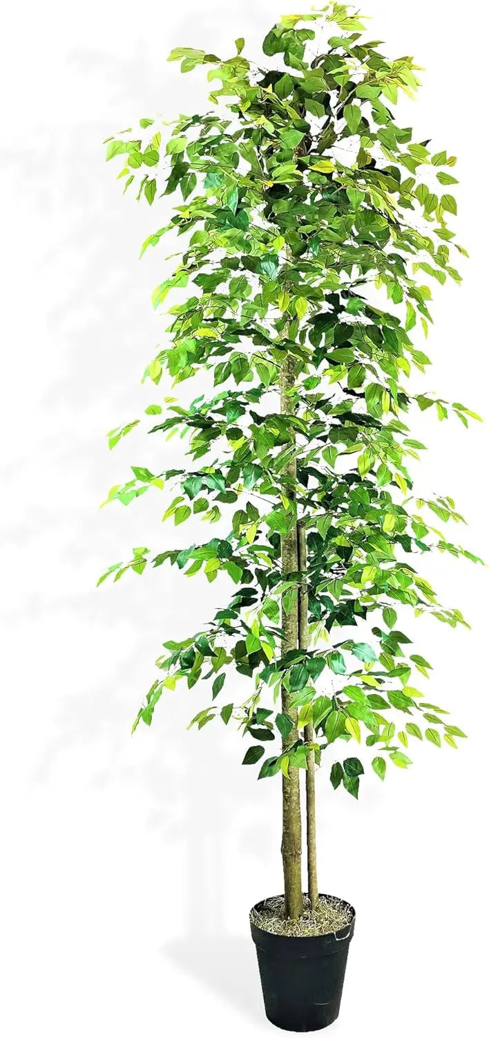 10ft Ficus Tree in Black Plastic Pot - Real Wood Trunk, No Maintenance Indoor Plant - Living Room, Home & Office Decor