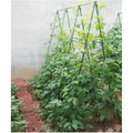 20-50 Pack Metal Garden Stakes, 6.9ft Climbing Trellis for Cucumber, Bean, and Climbing Plants